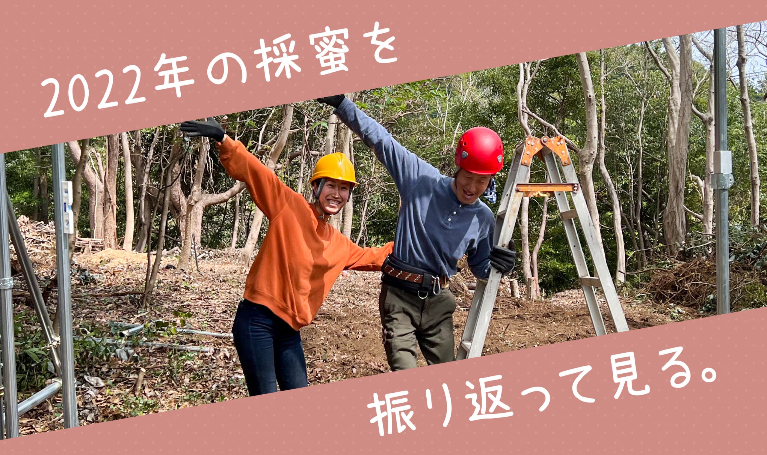 2022年の採蜜を振り返ってみる。