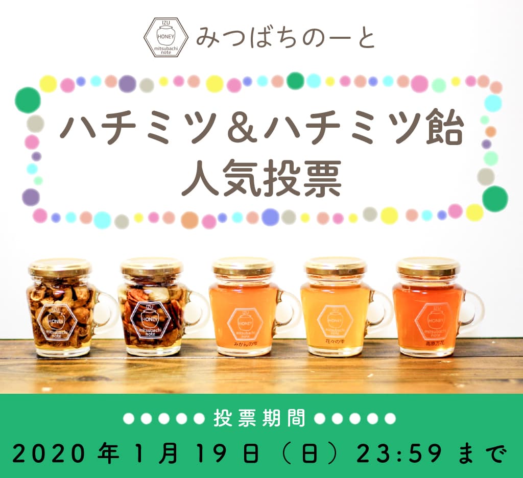 新年のご挨拶と【新春祝い付き】人気投票のお知らせ