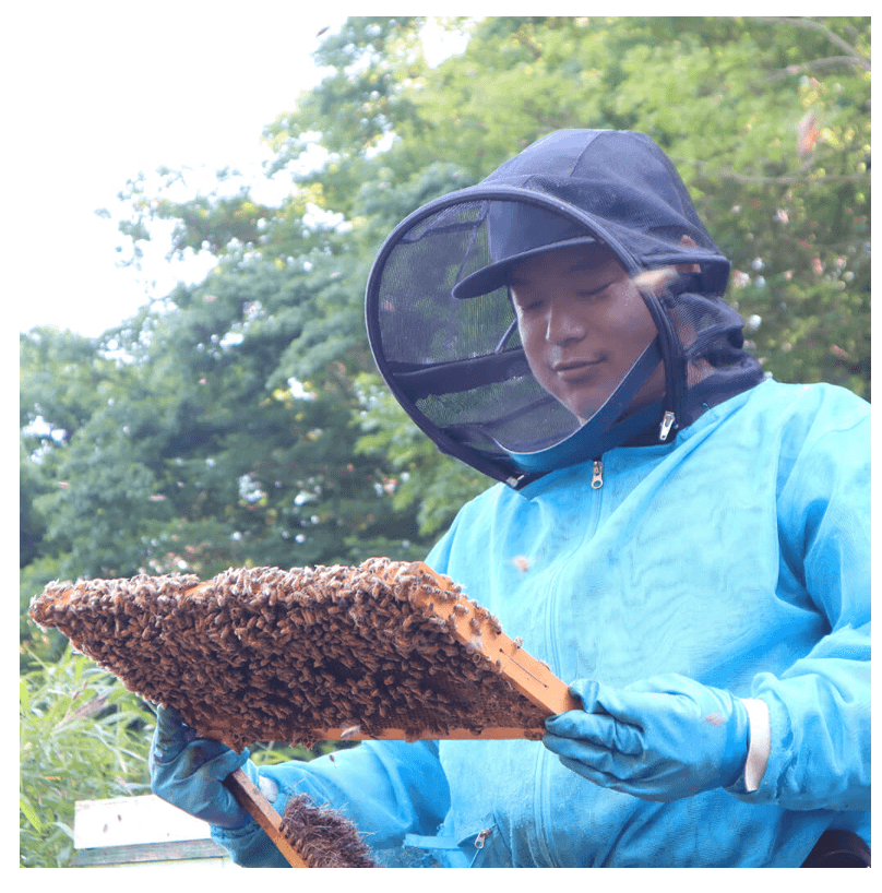 2023年を振り返ってみる