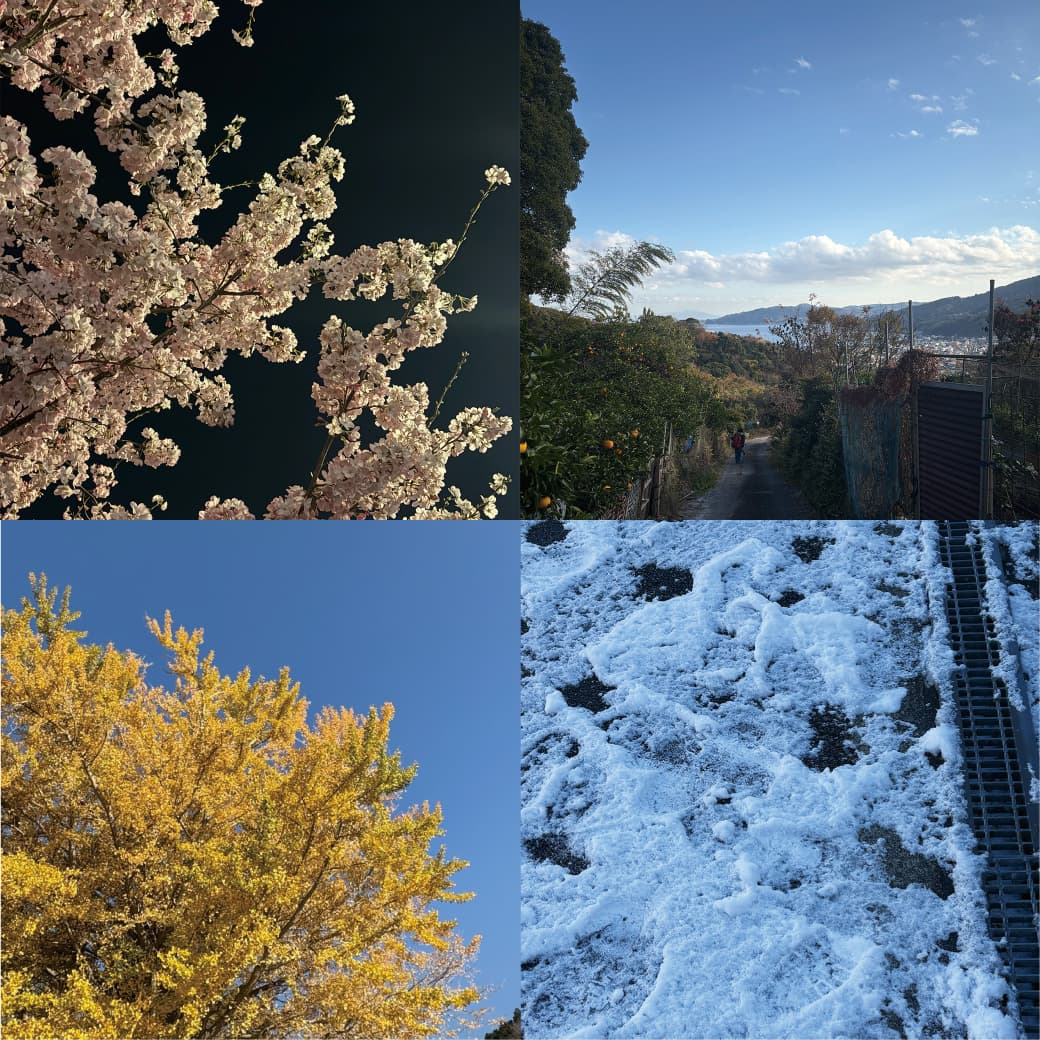 1年が経ちました。