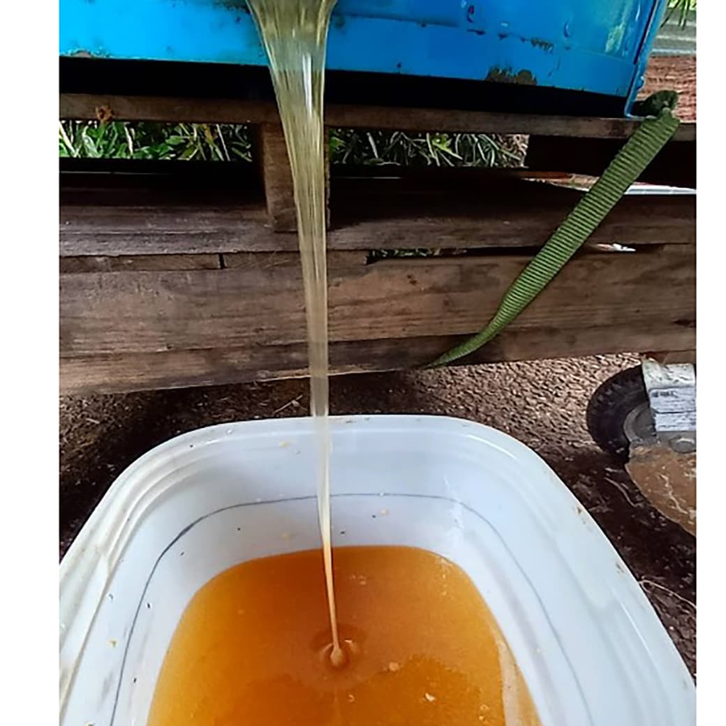 【養蜂たより】6月の採蜜ができました。