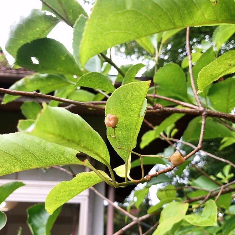 豊かな暮らしに一歩前進
