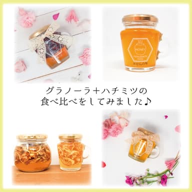 グラノーラ+ハチミツの食べ比べをしてみました♪