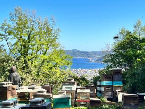 【ブログ】今年初めての採蜜をしました。
