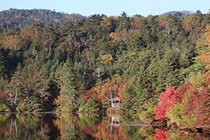 【ブログ】テントを担いで紅葉の白駒池へ。