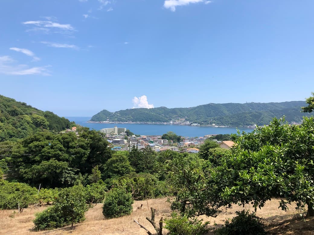 はじめての運動会