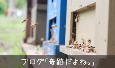 妻：「奇跡だよね！！」