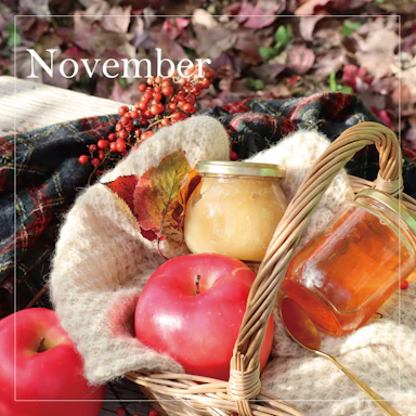 11月の販売予定のお知らせ