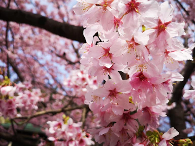 みつばちのーとのダメダメな歴史