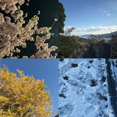 1年が経ちました。