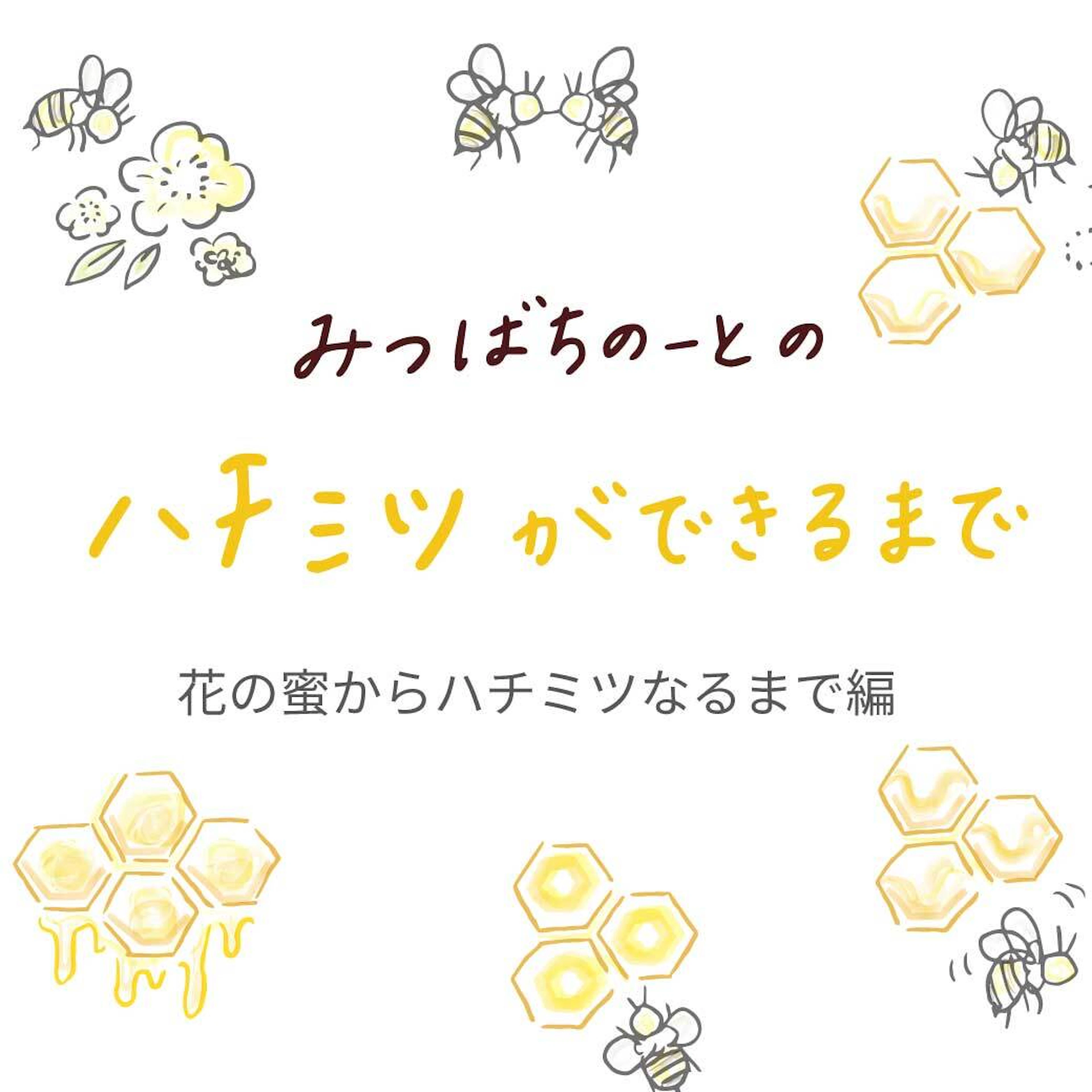 花の蜜じゃない？？「ハチミツ」ができるまで