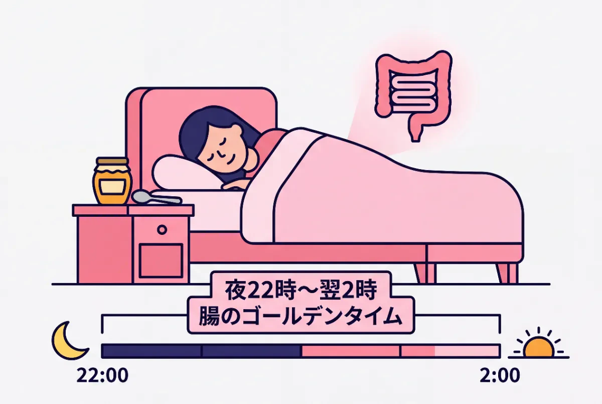 ハチミツの摂取は夜寝る前に