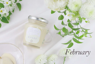 2月の販売予定