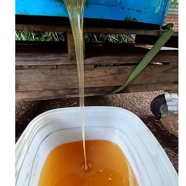 【養蜂たより】６月の採蜜ができました。