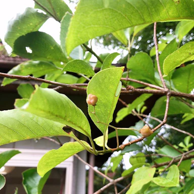豊かな暮らしに一歩前進