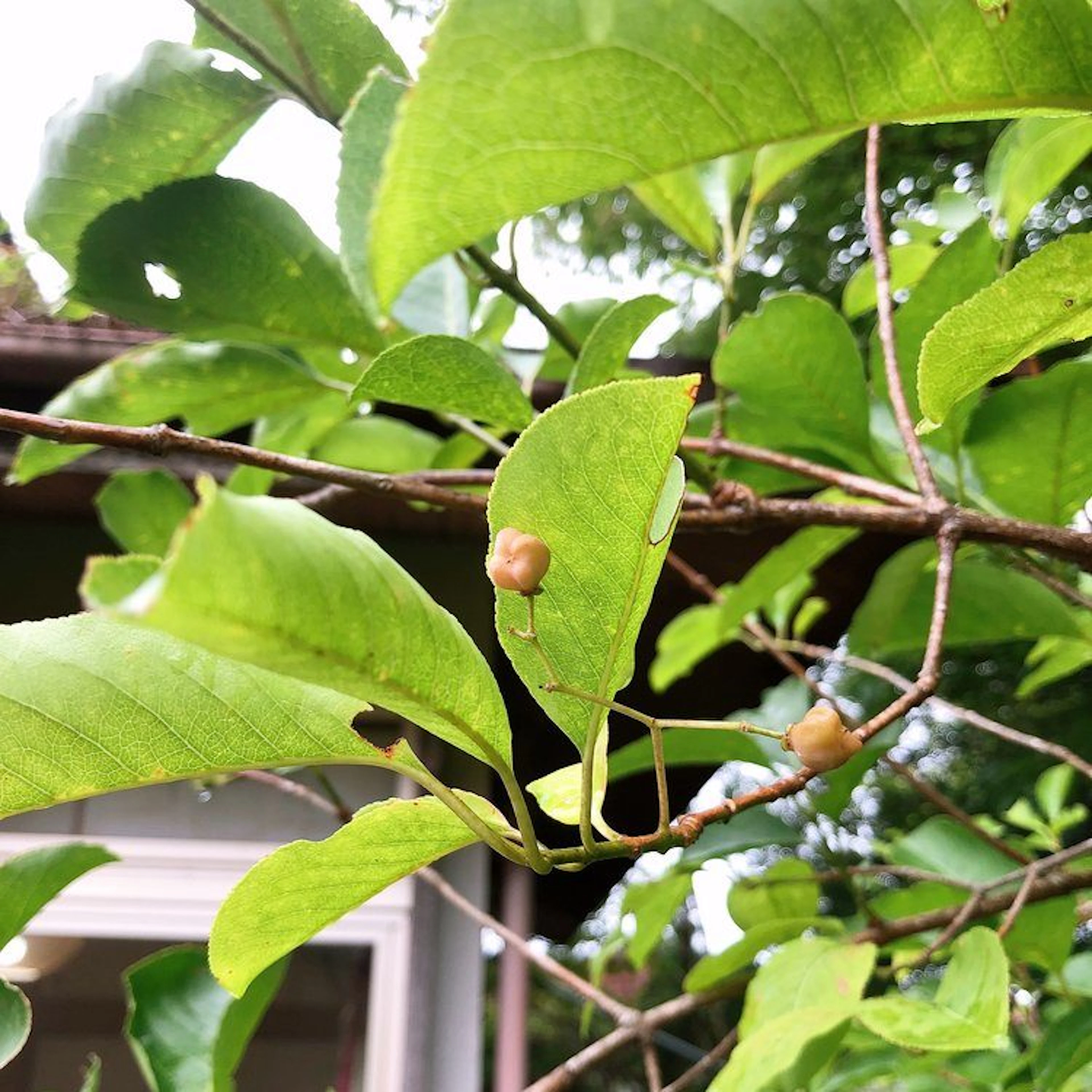 豊かな暮らしに一歩前進