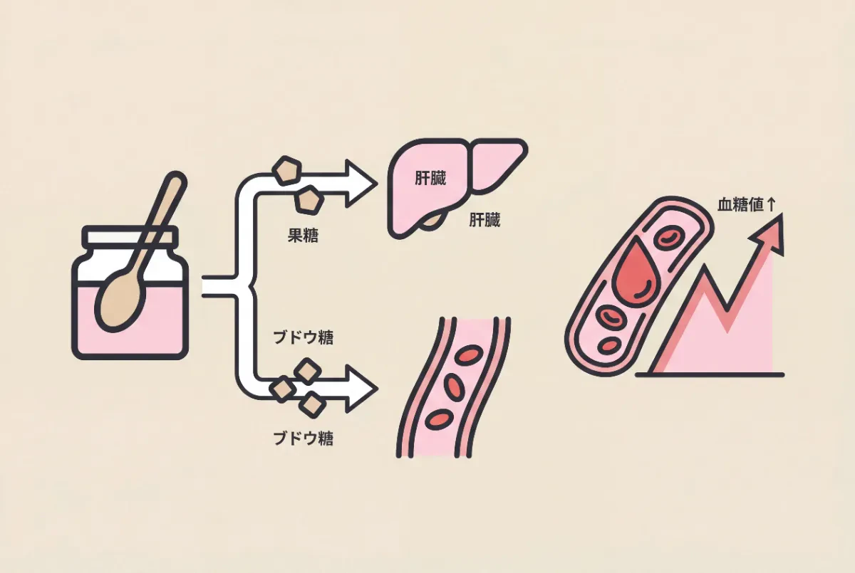 血糖値スパイクの仕組み