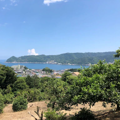はじめまして。杉山です。