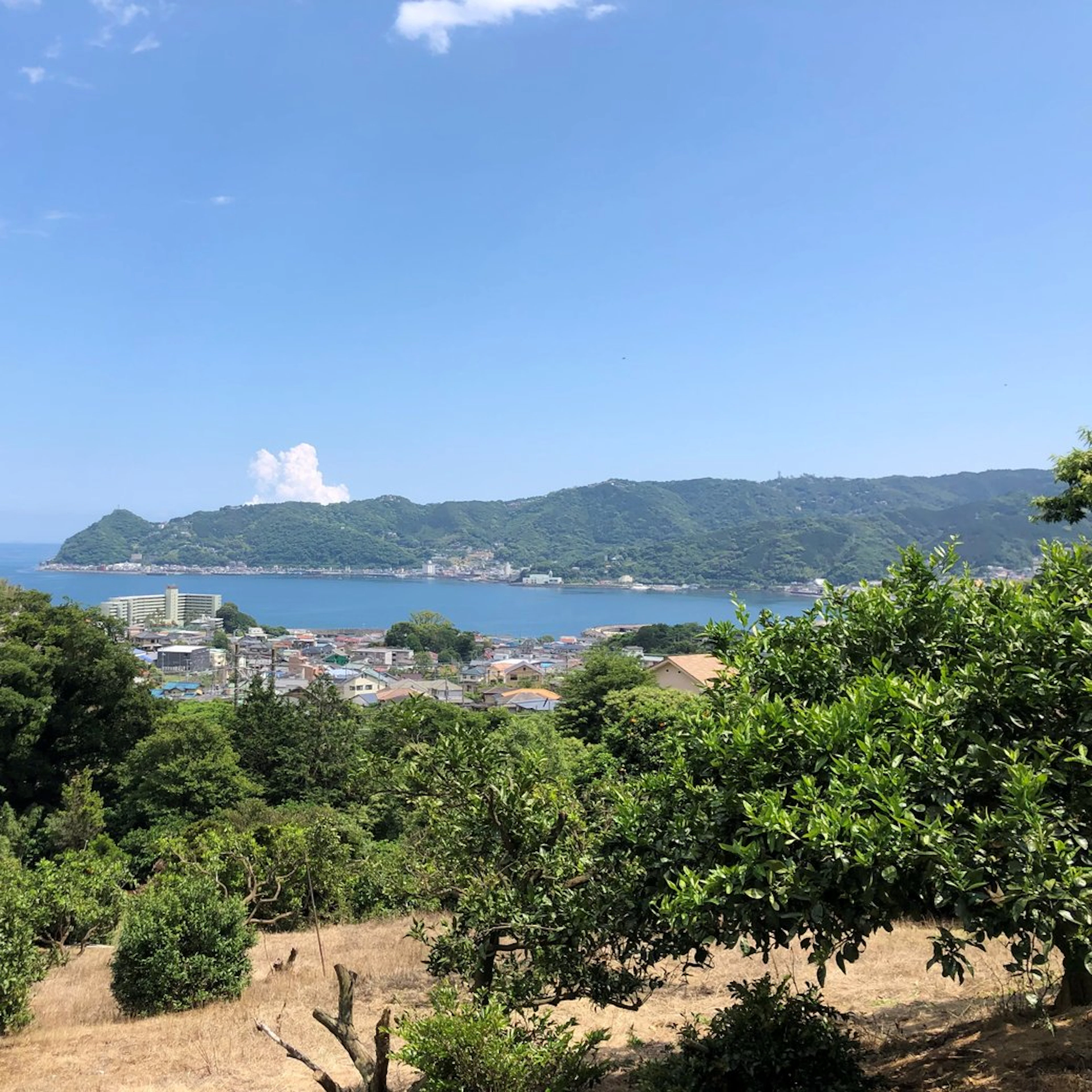 はじめまして。杉山です。
