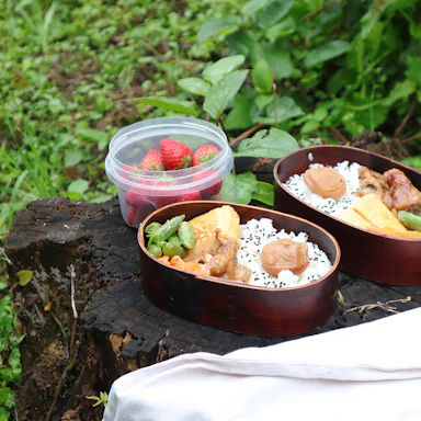 【管理栄養士のレシピ】ハチミツ屋さんのお弁当