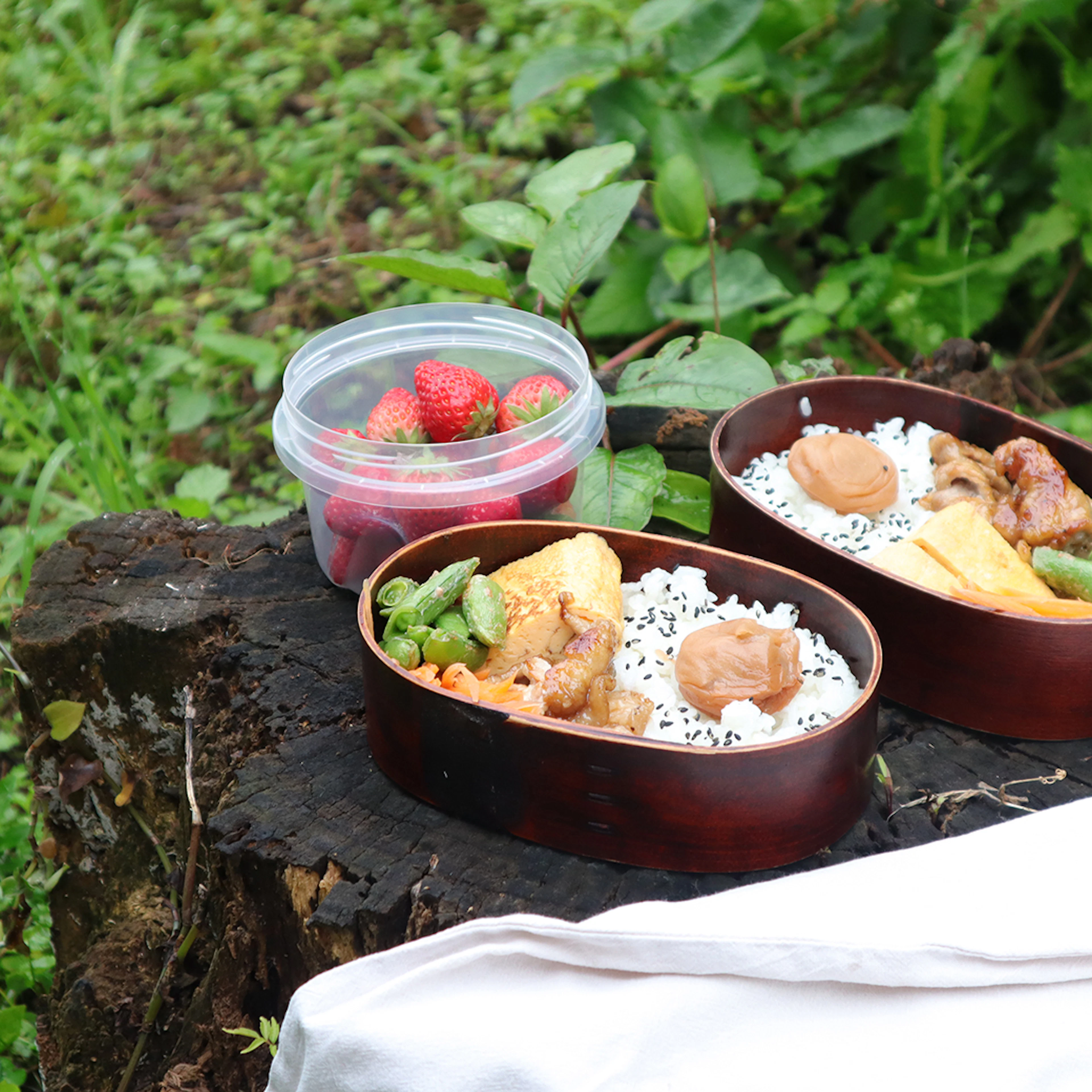 【管理栄養士のレシピ】ハチミツ屋さんのお弁当