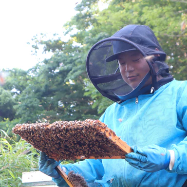 【ブログ】琥珀の輝きが採れました！