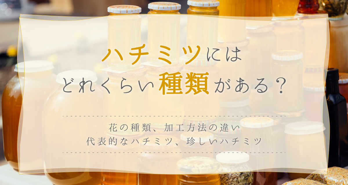 ハチミツの種類8選！花の種類・加工方法でどれくらい違うの