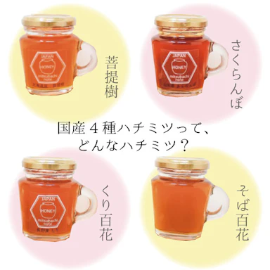 国産4種のハチミツって、どんなハチミツ？？