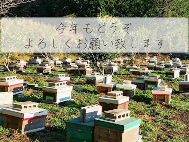 こんな年末年始の過ごし方