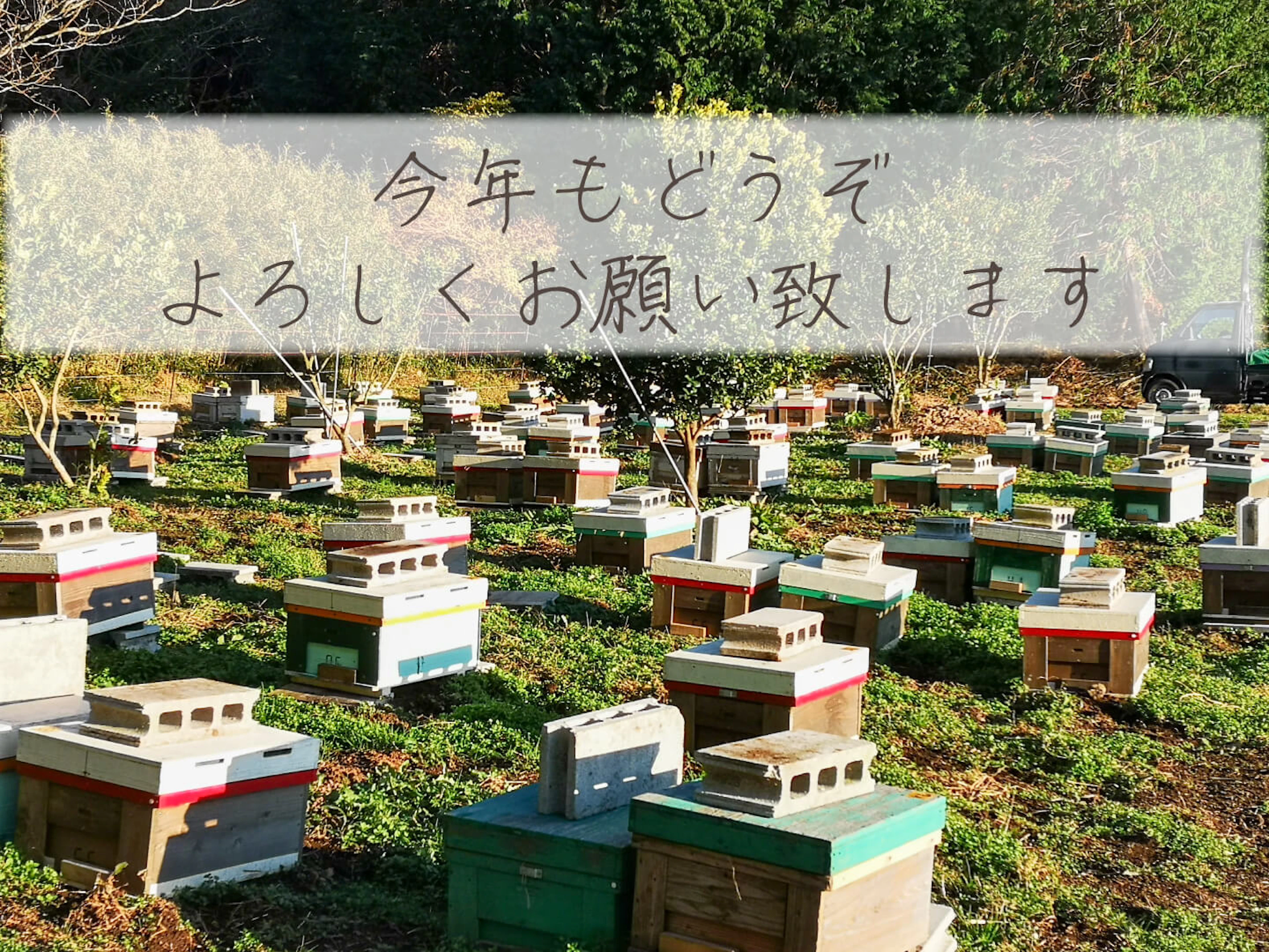 こんな年末年始の過ごし方