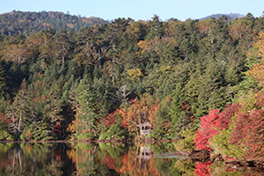 【ブログ】テントを担いで紅葉の白駒池へ。