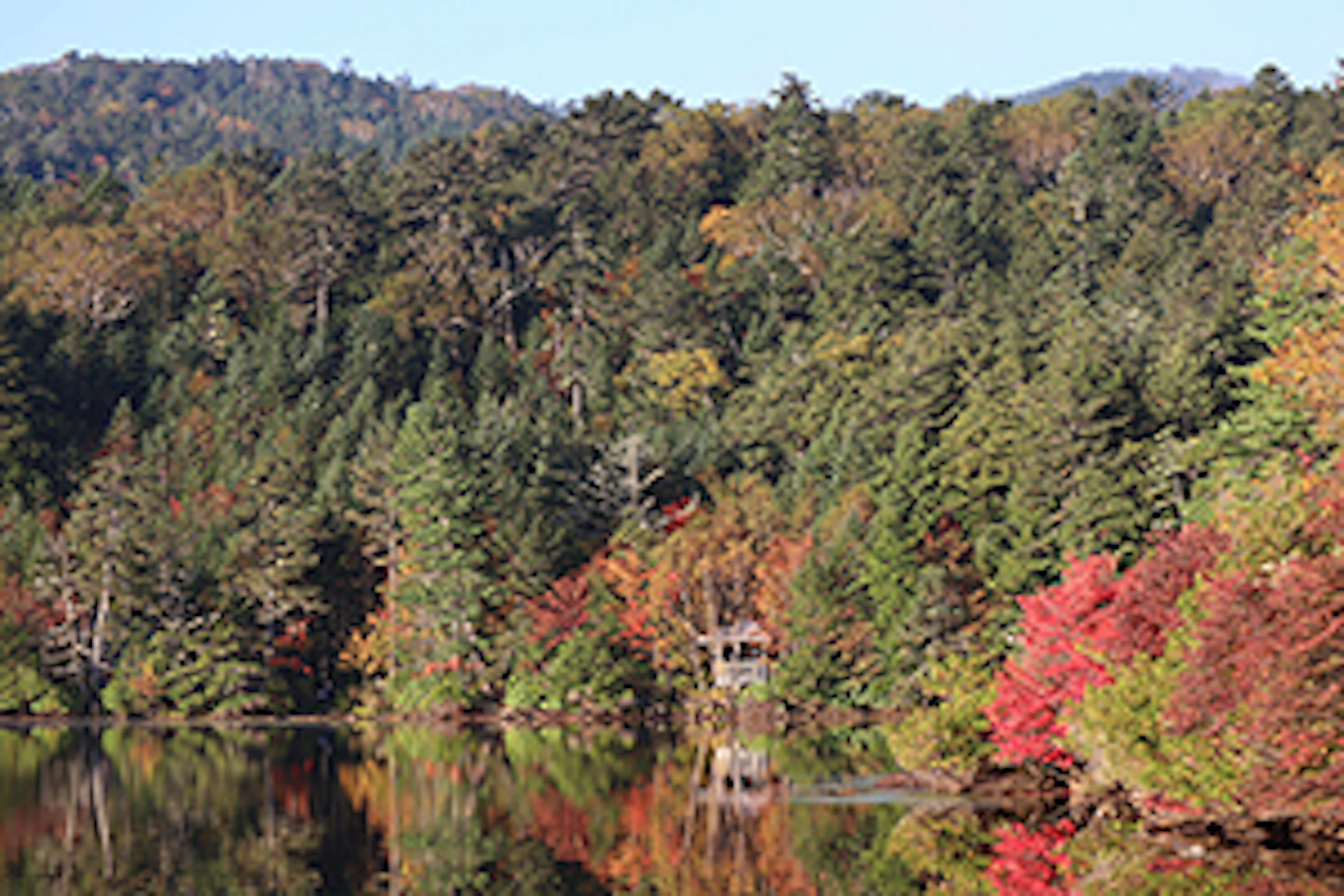 【ブログ】テントを担いで紅葉の白駒池へ。