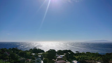 おうち時間♡ベランダでの楽しみ