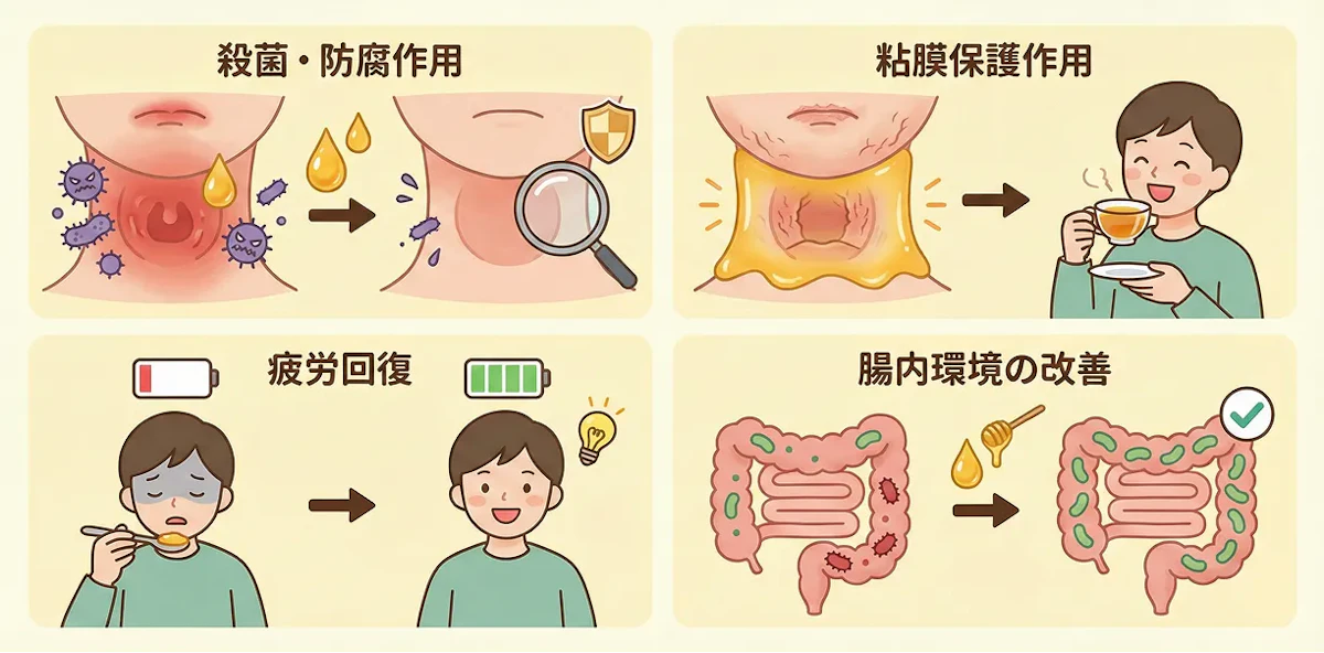 ハチミツが喉にいい理由