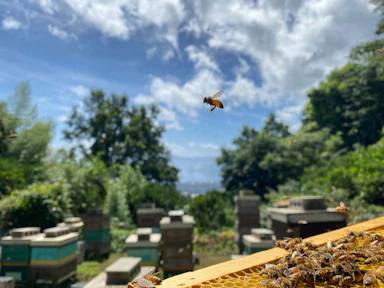 大好きな”清夏”の季節がやってきた！