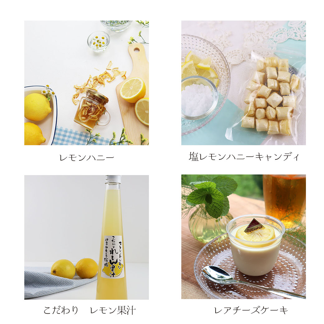 はちみつれもん