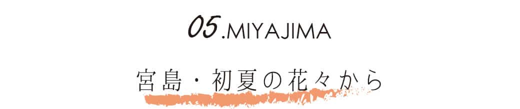 ご当地　宮島　ハチミツ