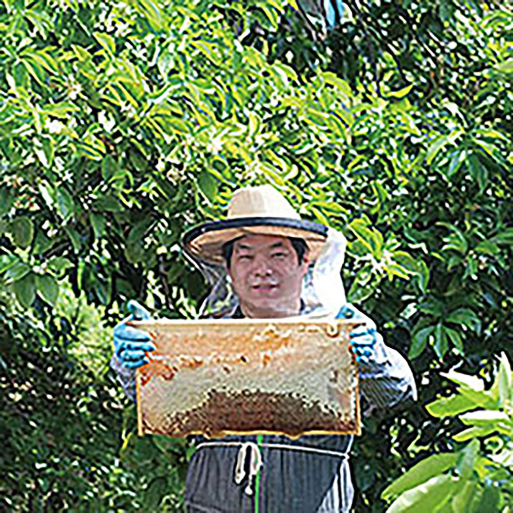 ご当地　ハチミツ　伊豆　養蜂家