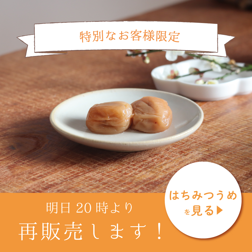 みつばちのーと とろっとはちみつうめ